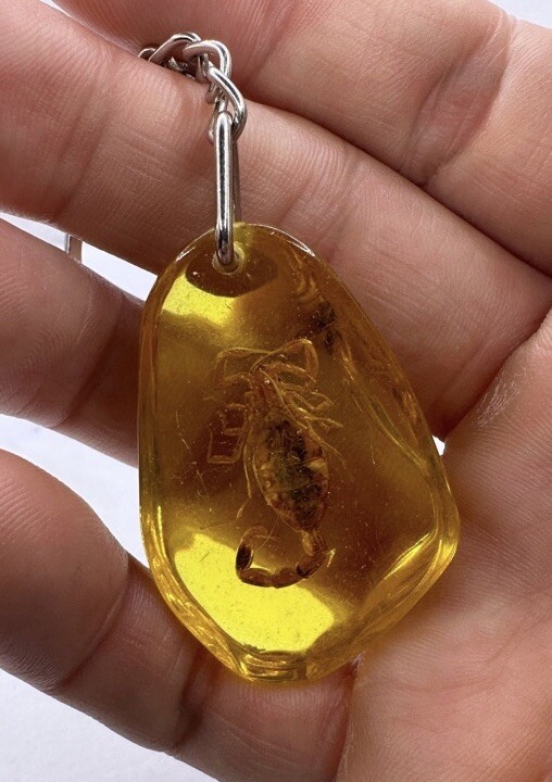 Scorpion Amber Keychain, Scorpion Keychain, Unique Keychain, Arizona Gift