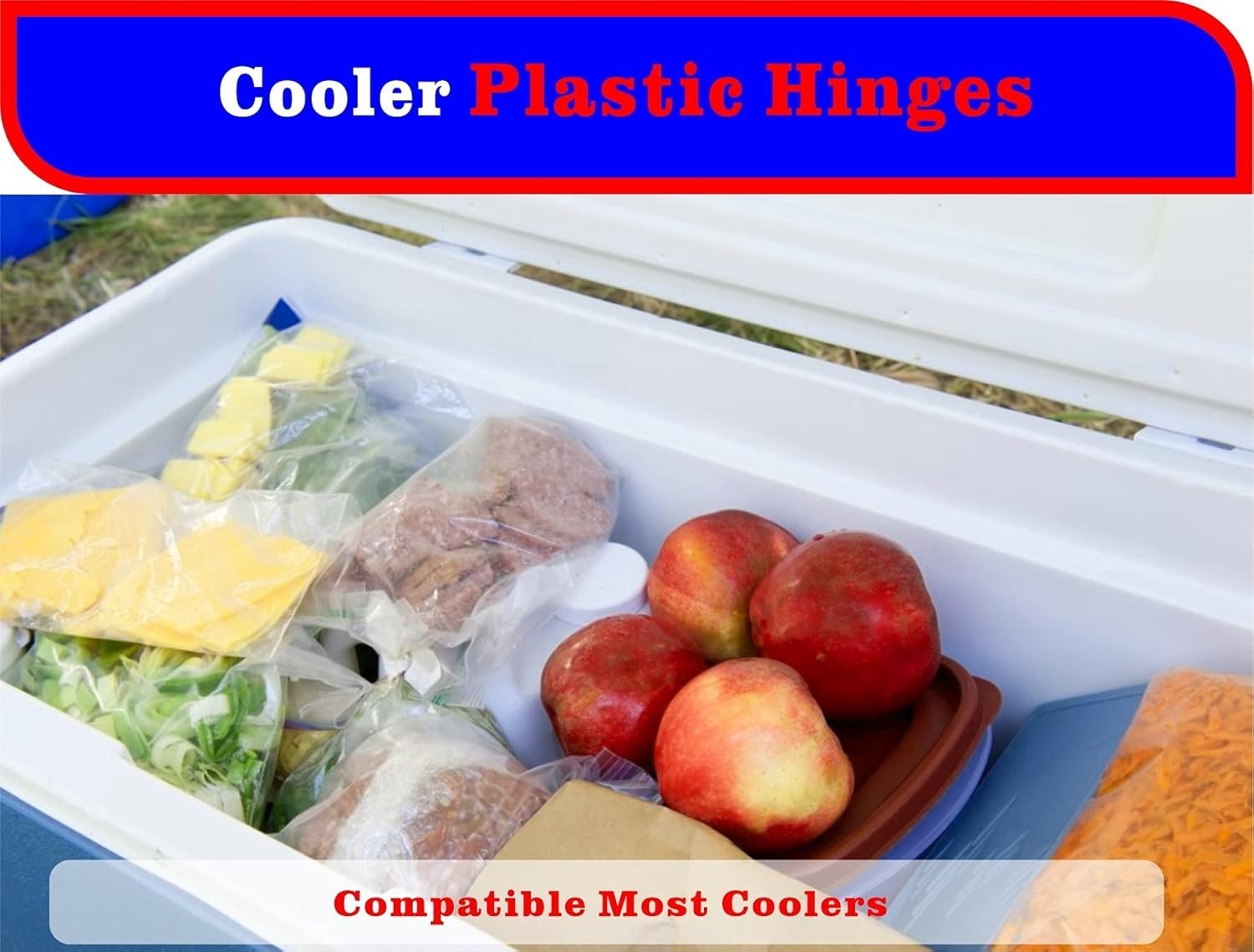 Cooler Plastic Hinges Kit Replacement for Coleman Coolers, Rubbermaid Cooler Par