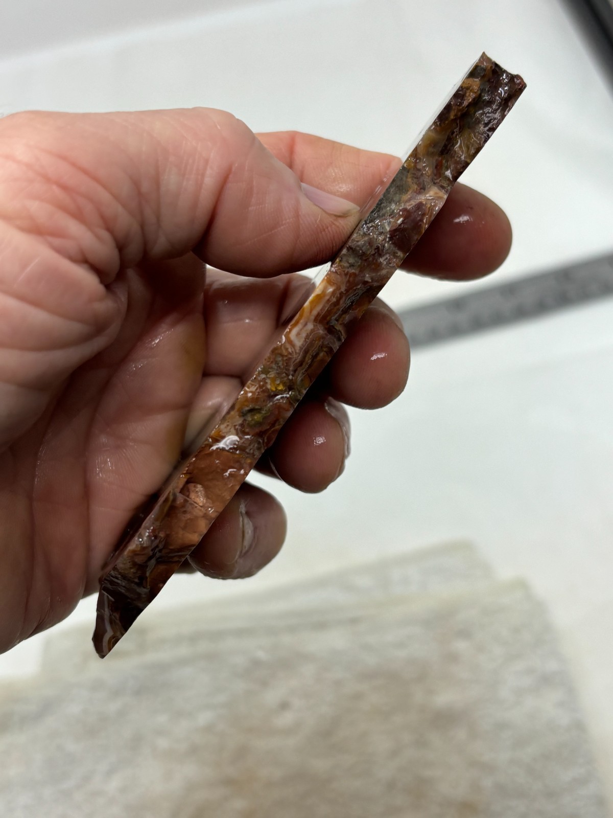 Turkish Stick Agate slab Cabbing Lapidary Collecting Combo Ship avail