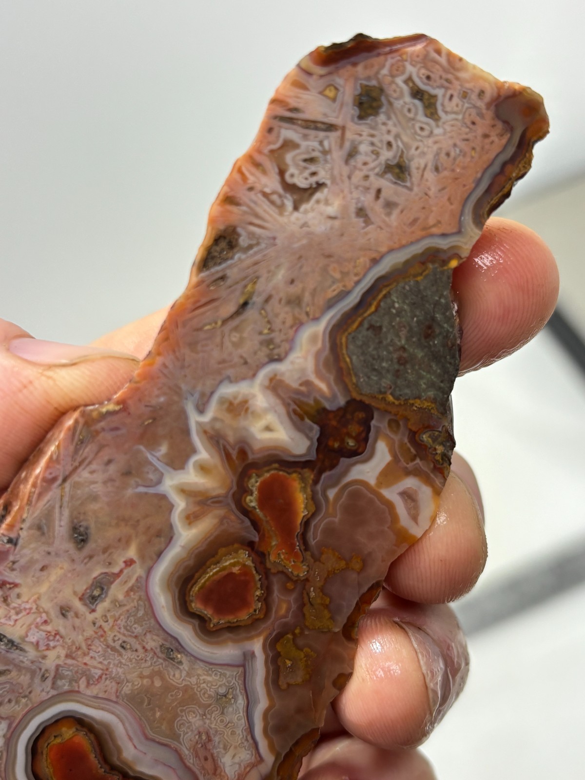 Turkish Stick Agate slab Cabbing Lapidary Collecting Combo Ship avail