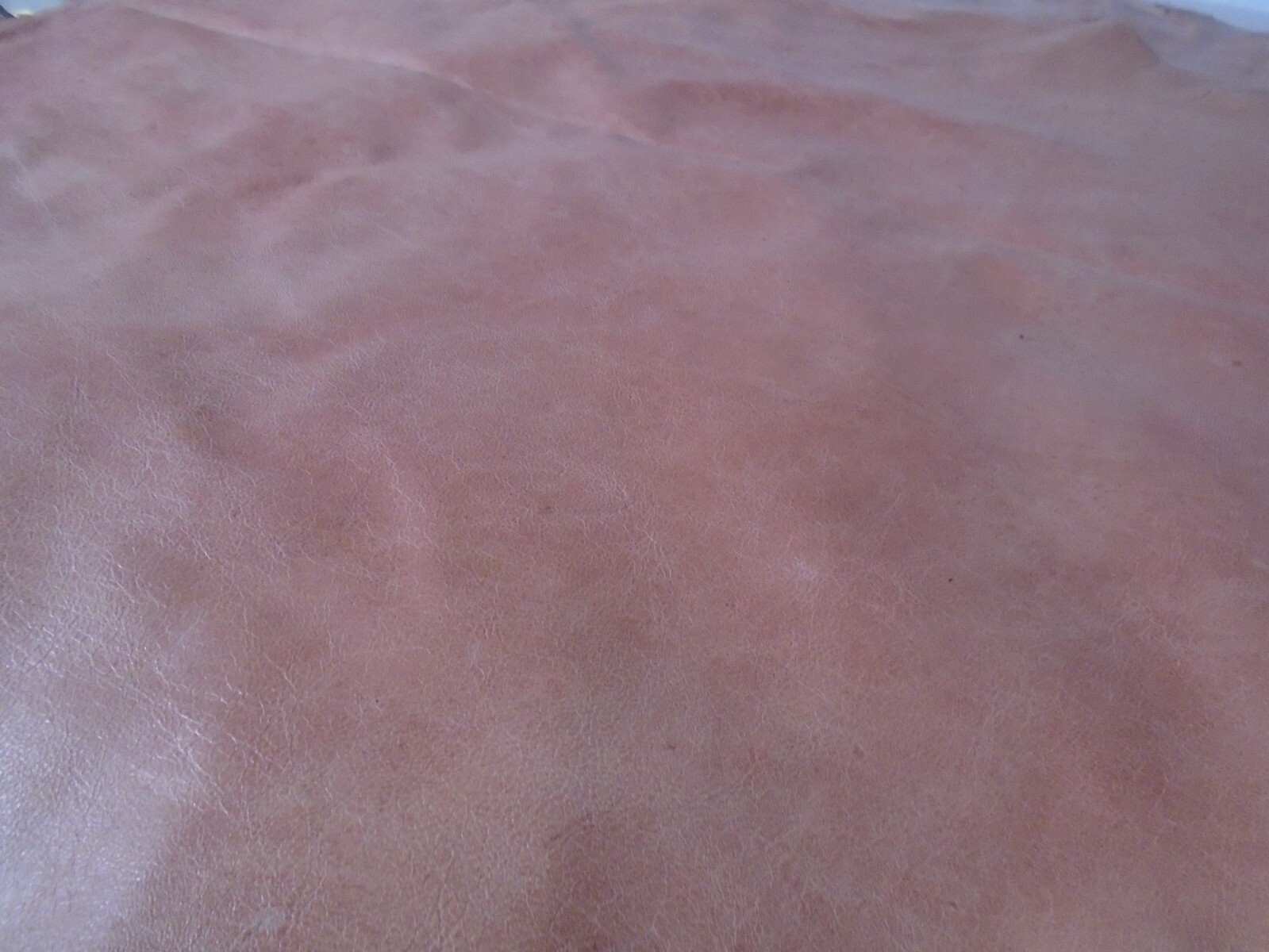 Top Grain Goat Leather