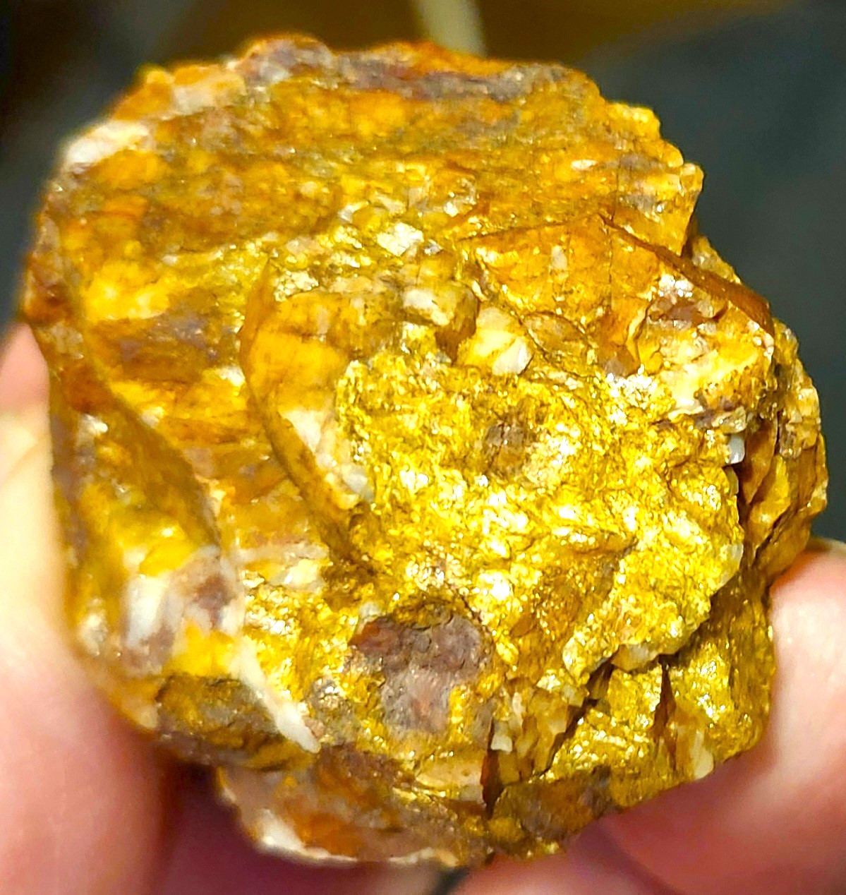 Gold Ore Specimen /Quality Visible Gold