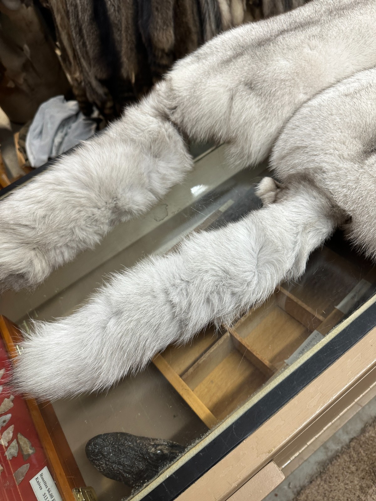 BLUE FOX EXTRA EXTRA HEAVY GORGOUS TOP OF THE LINE FROM NORWAY