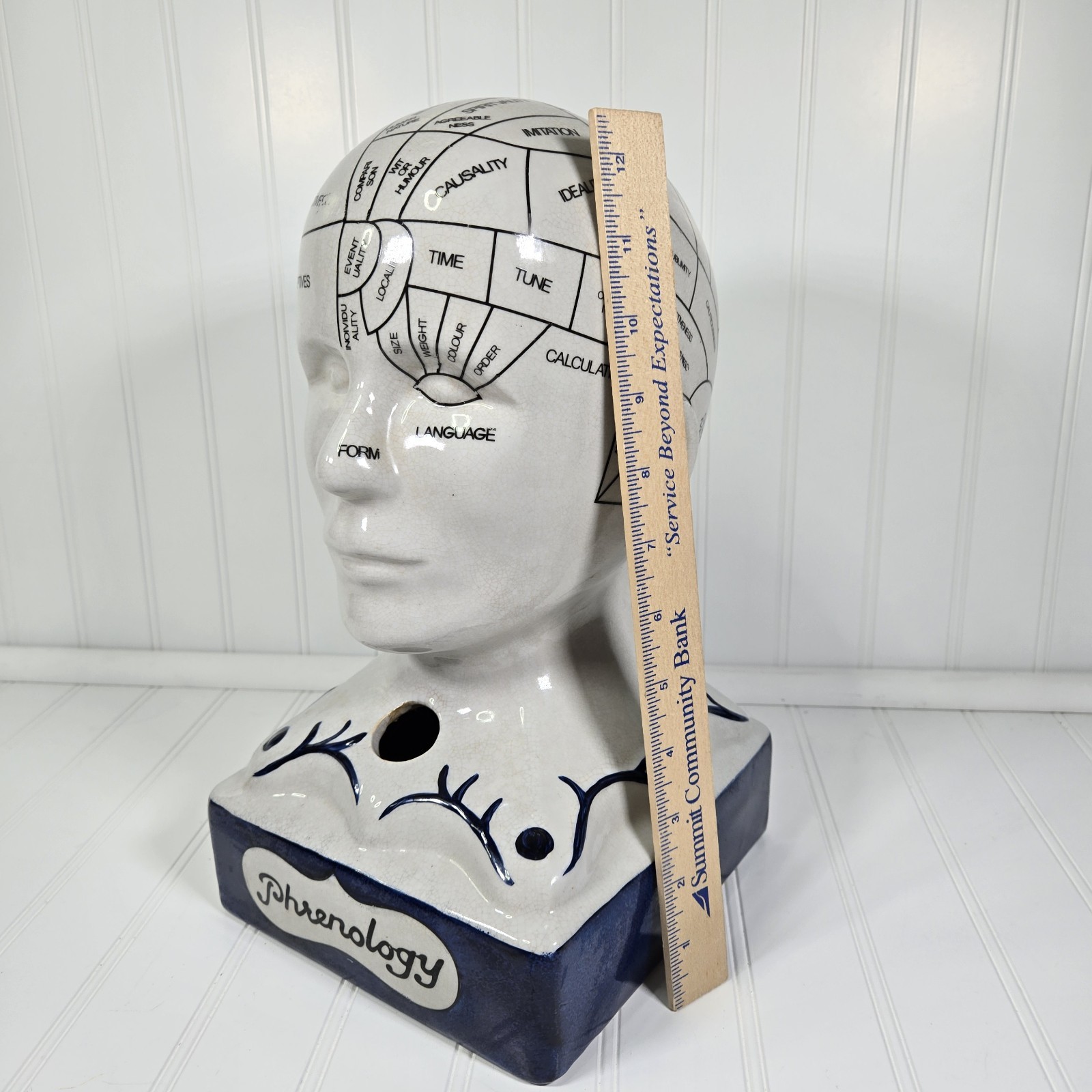 Phrenology Bust Table Head Statue 13” Ceramic Vintage Porcelain Pseudoscience