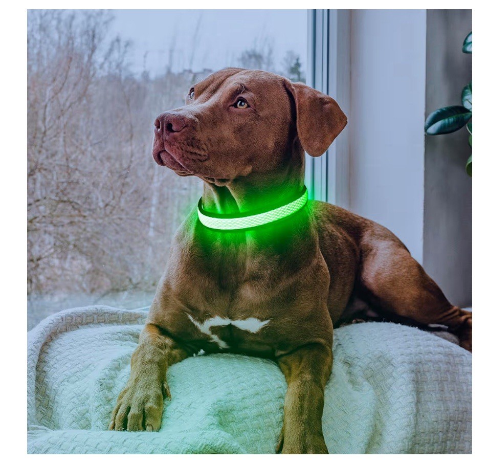 Flashseen Light Up LED Dog Collar, Dog Collar USB Rechargeable Large, Neon Green