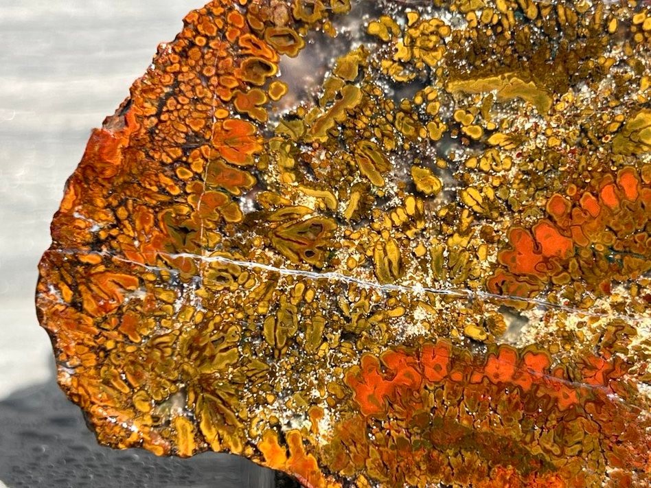 East Java Plume Agate - Indonesia 3.75"x3" High Grade Lapidary Rough Slab