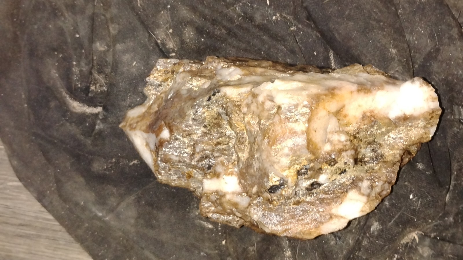 GOLD QUARTZ SPECIMEN TGW=⚡ NATIVE CALIFORNIA GOLD IN QUARTZ⭐🌟