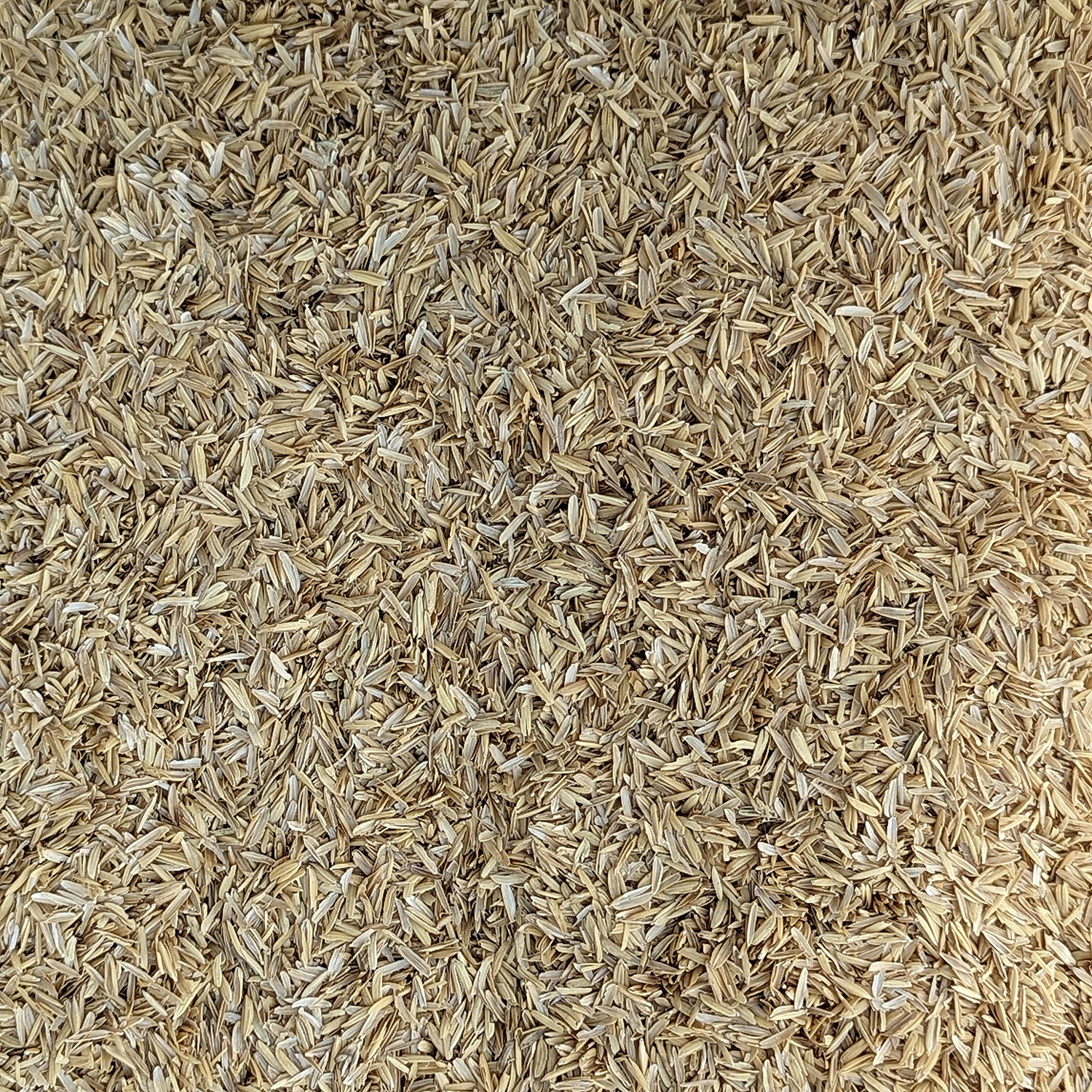 RICE Hulls - Premium 100% All Natural Rice Hulls (1 Gallon) Bulk Husks