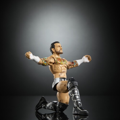 Mattel Collectible - WWE Elite Collection 6" CM Punk Action Figure [New Toy] A