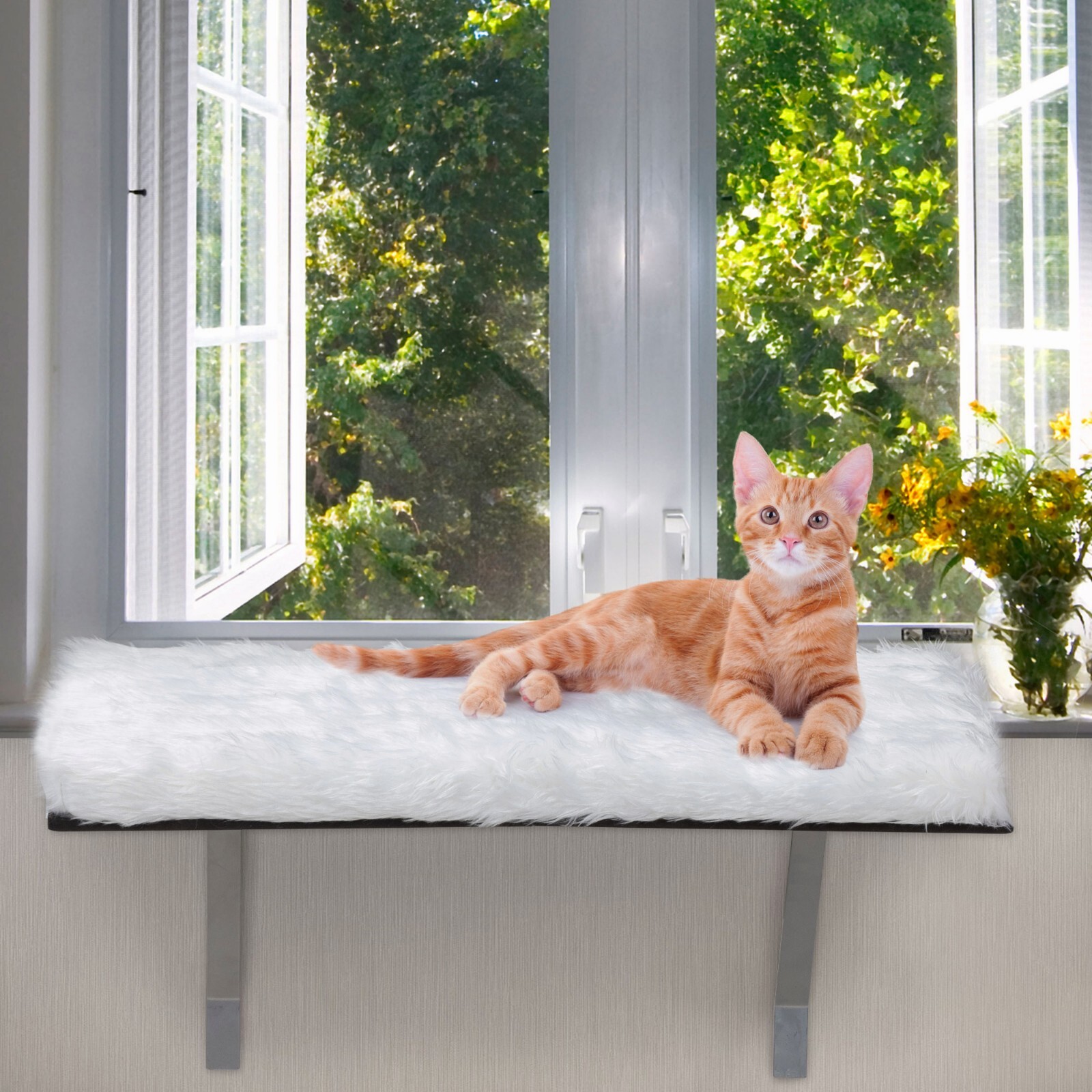 COZIWOW Cat Perch Cat Hammock Window Seat Padded Cat Wall Bed for Sunbathing