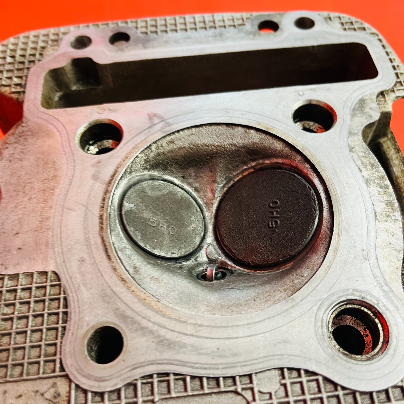 TTR225 CYLINDER HEAD CAMSHAFT VALVES GENUINE OEM YAMAHA TTR 225 (1999-2004)