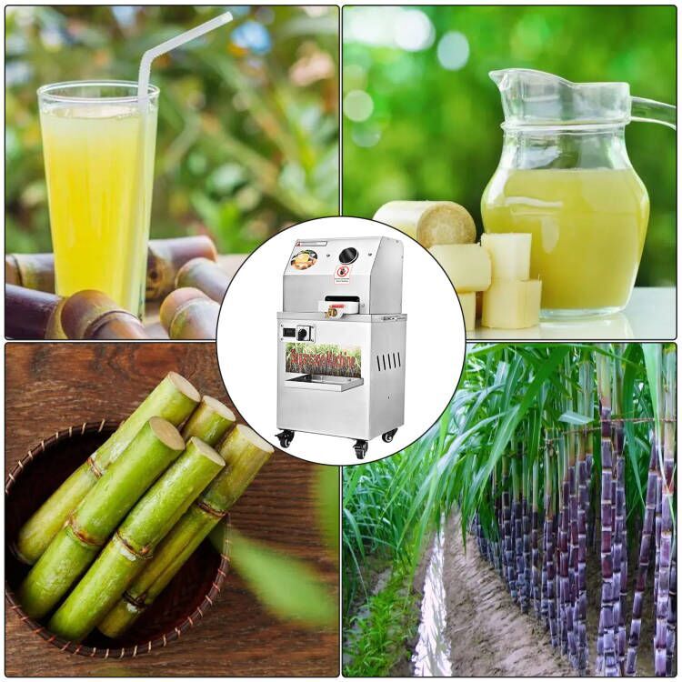Electric Stainless Steel Juicer Sugar Cane Press Juicer Juice Machine Brand