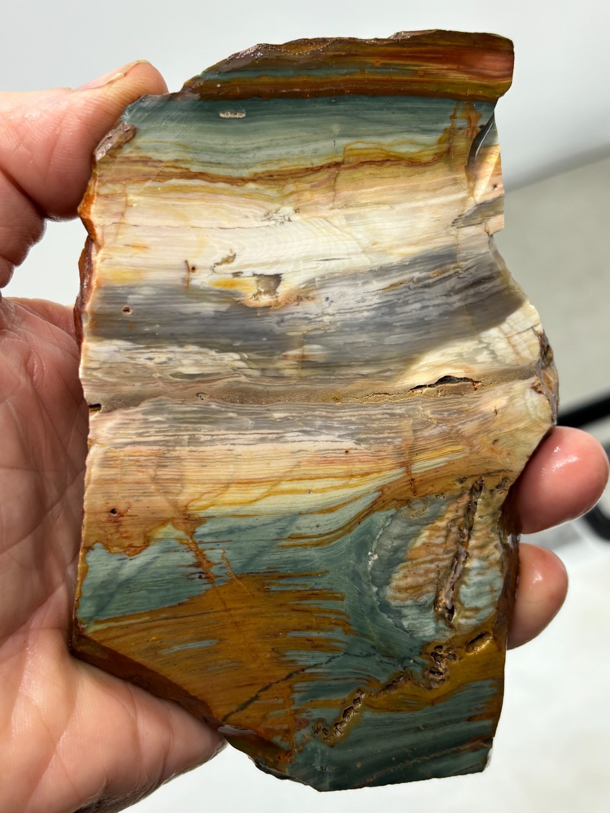 Gary Green Caldera Freedom Jasper Slab Cabbing Lapidary Combo Ship Avail