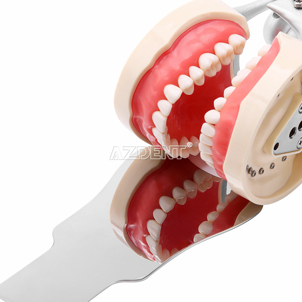 Dental Occlusal Mirror Fog Free LED Intra Oral Photo System Mirror Anti-Fog