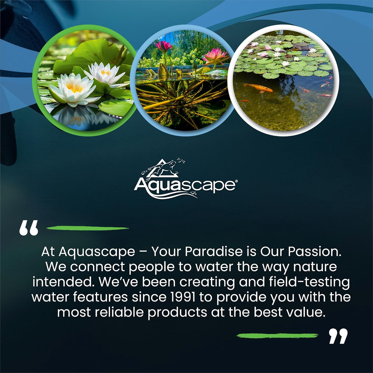 Pond Plant Potting Media, Nutrient-Rich Aquatic Soil for Water Garden