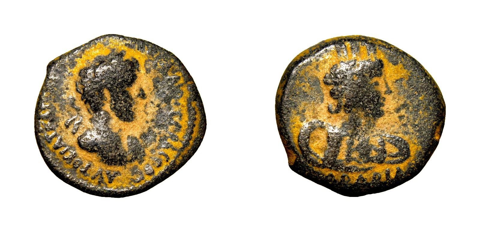 Certified Authentic Ancient Roman ARABIA, Bostra. Hadrian. AD 117-138. Æ 20mm