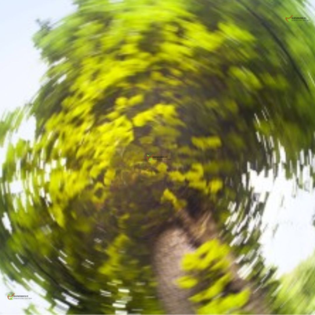 Vertigoheel HEEL 50 tab vertigo , dizziness , tinnitus , motion 1/3/5/10 PACK