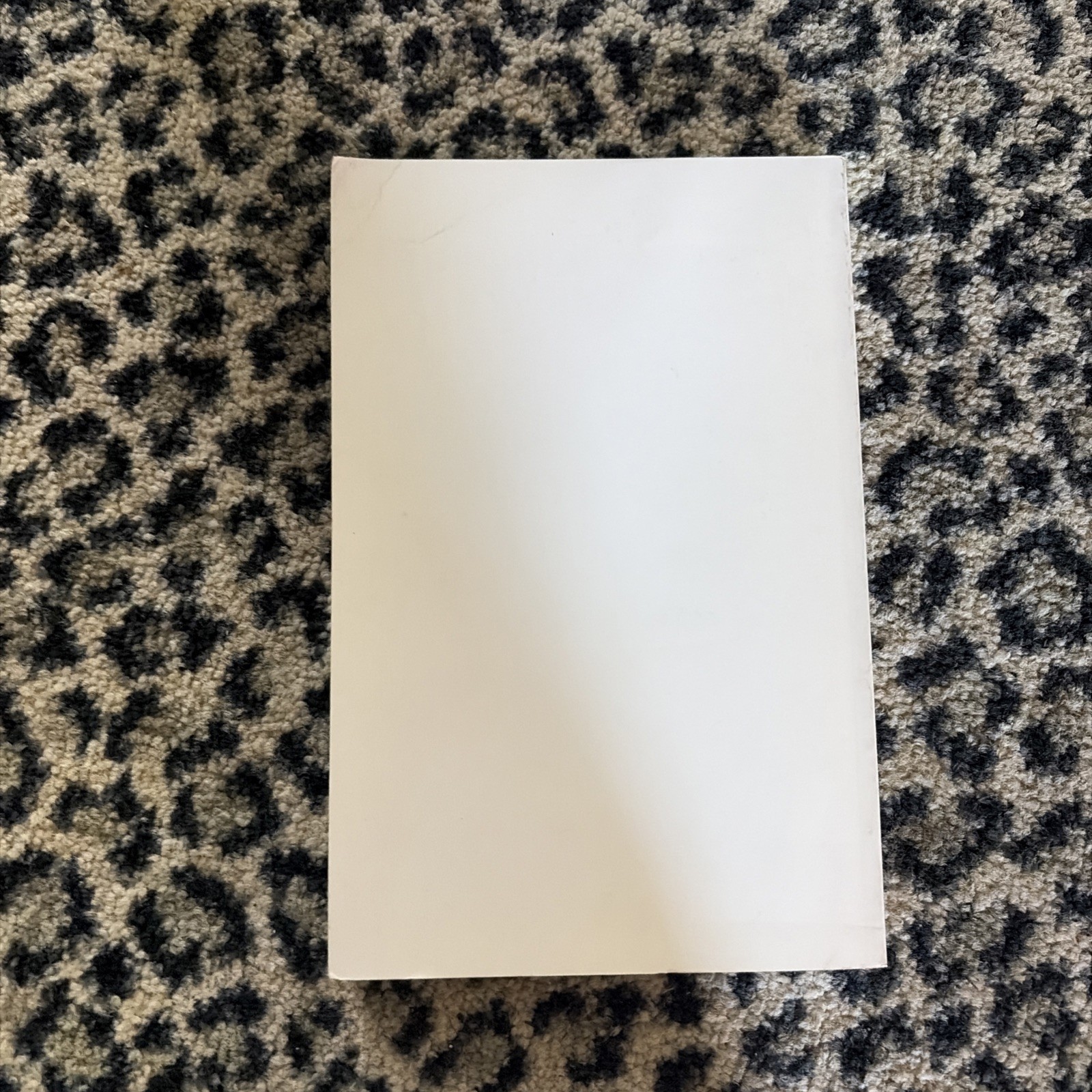 1979 Cessna Skyhawk Model 172N Information Manual D1138-13 Pilot's Operating PB