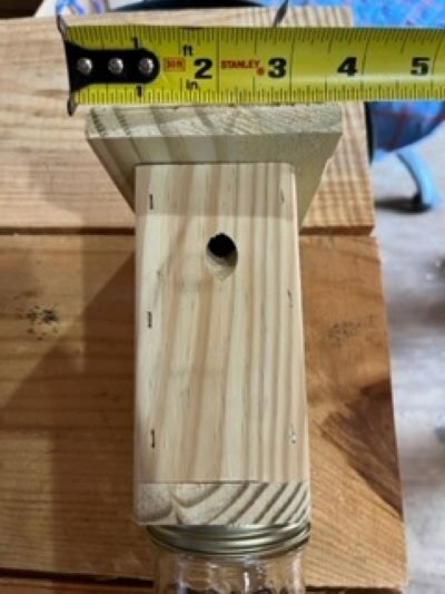 Best Carpenter Bee Trap Set of 6 PRESSURE TREATED Handmade