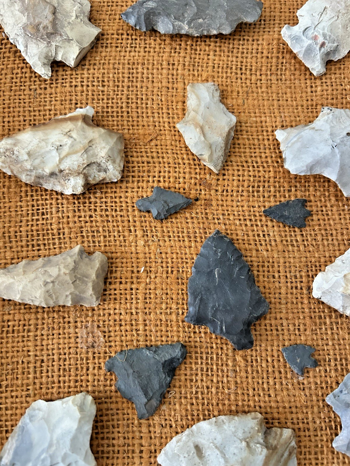 authentic NATIVE AMERICAN ARROWHEADS collection 16 x 14 framed