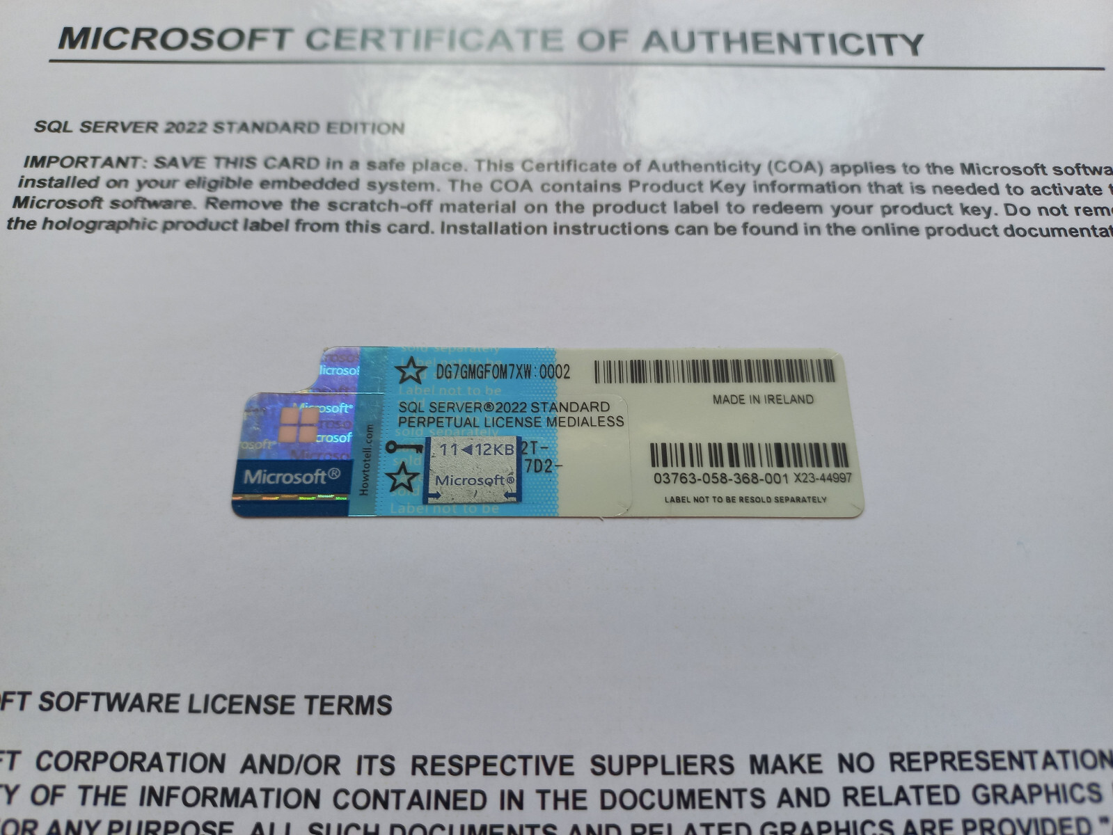 SQL Server 2022 Standard Microsoft 24 Core unlimited User CAL CoA DG7GMGF0M7XW