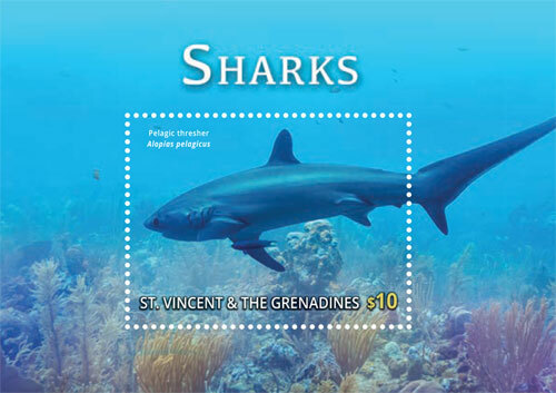 St. Vincent 2015 - Shark, Pelagic Thresher, Marine Life - Souvenir Sheet - MNH