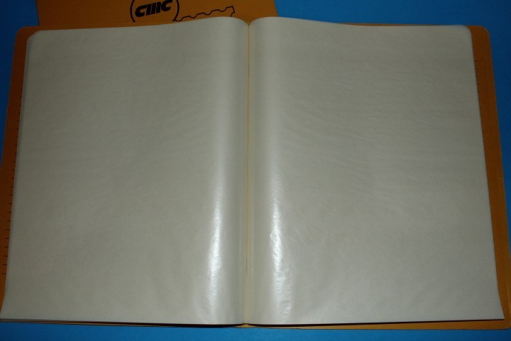 CMC Mint Sheet File Capacity 16 pgs 3 pocket 11.5" x 9.5" BlueLakeStamps CLEAN