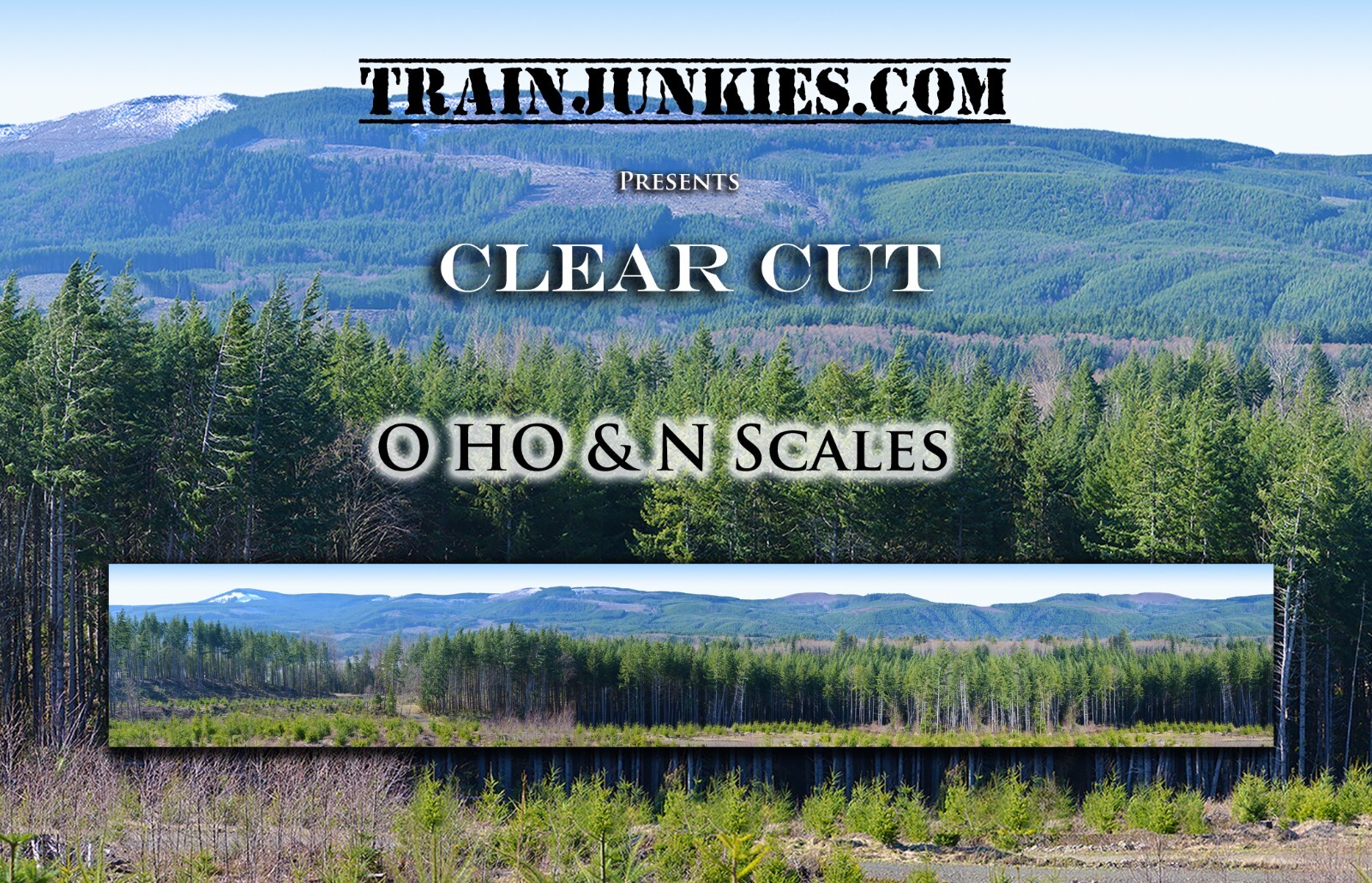 Model Railroad Backdrop Clear Cut  by TrainJunkies