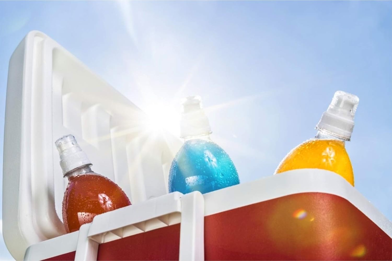 Cooler Plastic Hinges Kit Replacement for Coleman Coolers, Rubbermaid Cooler Par