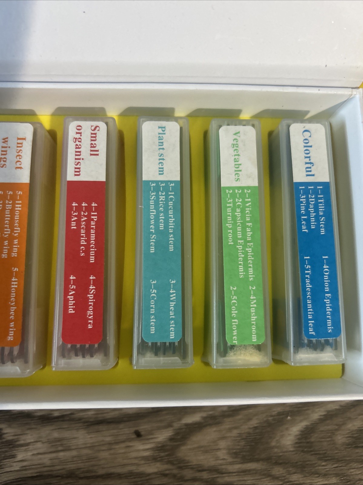 35pcs Biology Glass Prepared Microscope Slides Lab Specimens Accessories