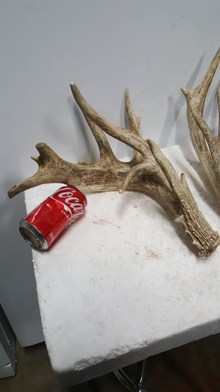 185-4" WHITETAIL DEER sheds Antlers mule mount taxidermy elk rack moose