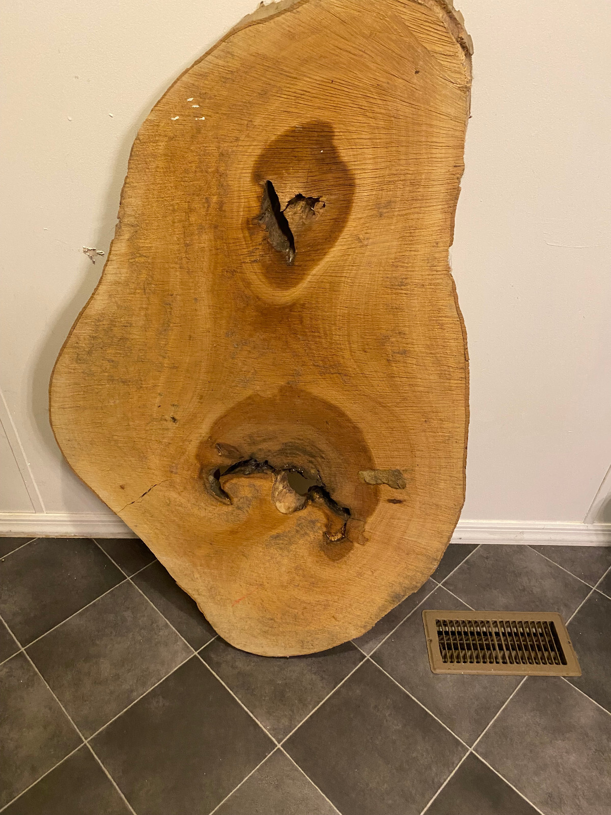 Large Stunning Live Edge Sycamore Slab 43" x 27"-13" x 1.75" Rustic Table top