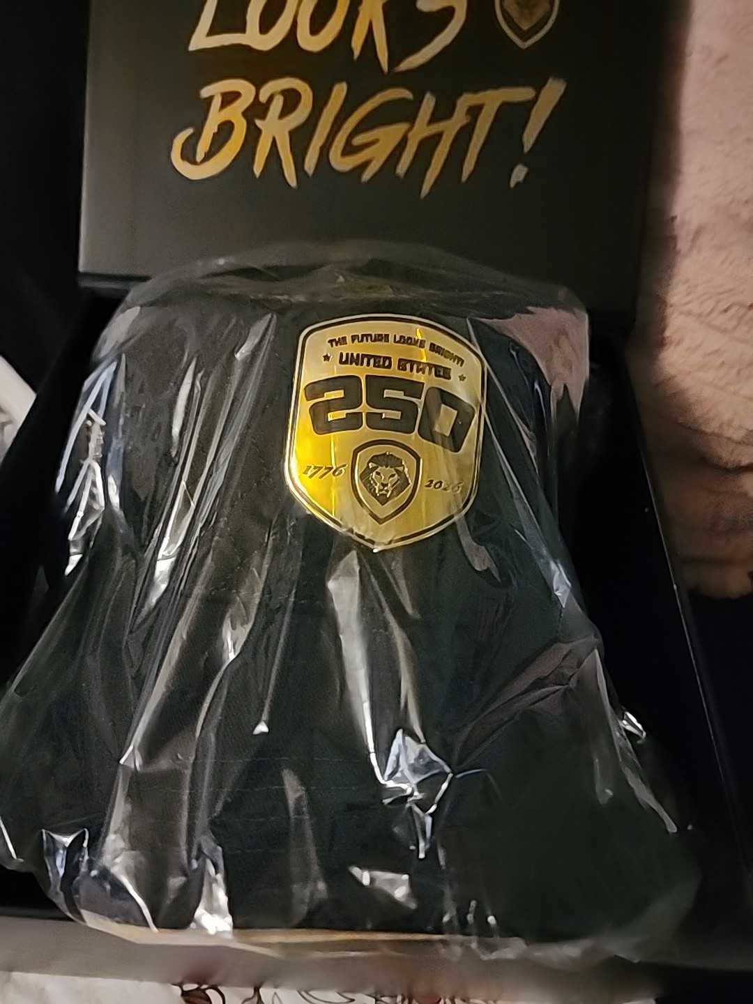 250th America Anniversary PBD Snap-back Hat