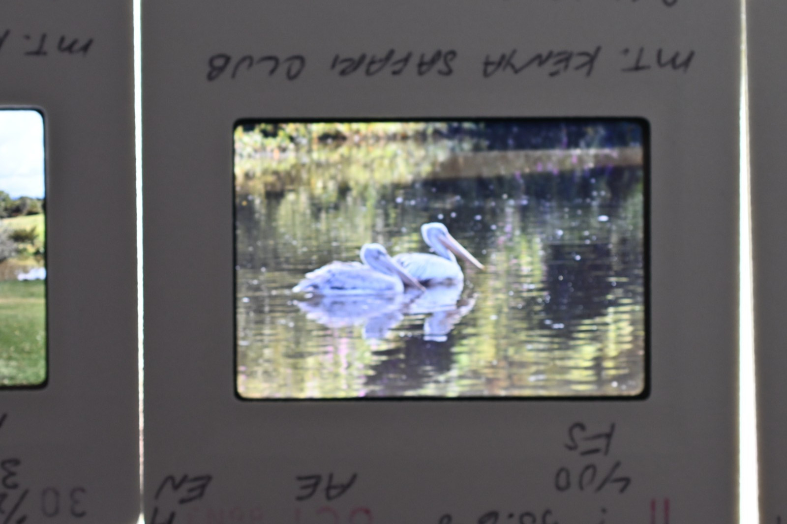 Vintage 1986 Kenya Safari Slides 120 Lot Wildlife Tribal Photo