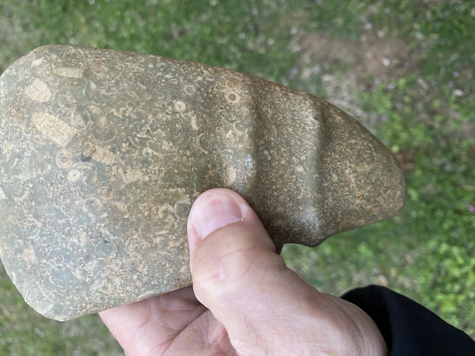Native American Stone Axe Head