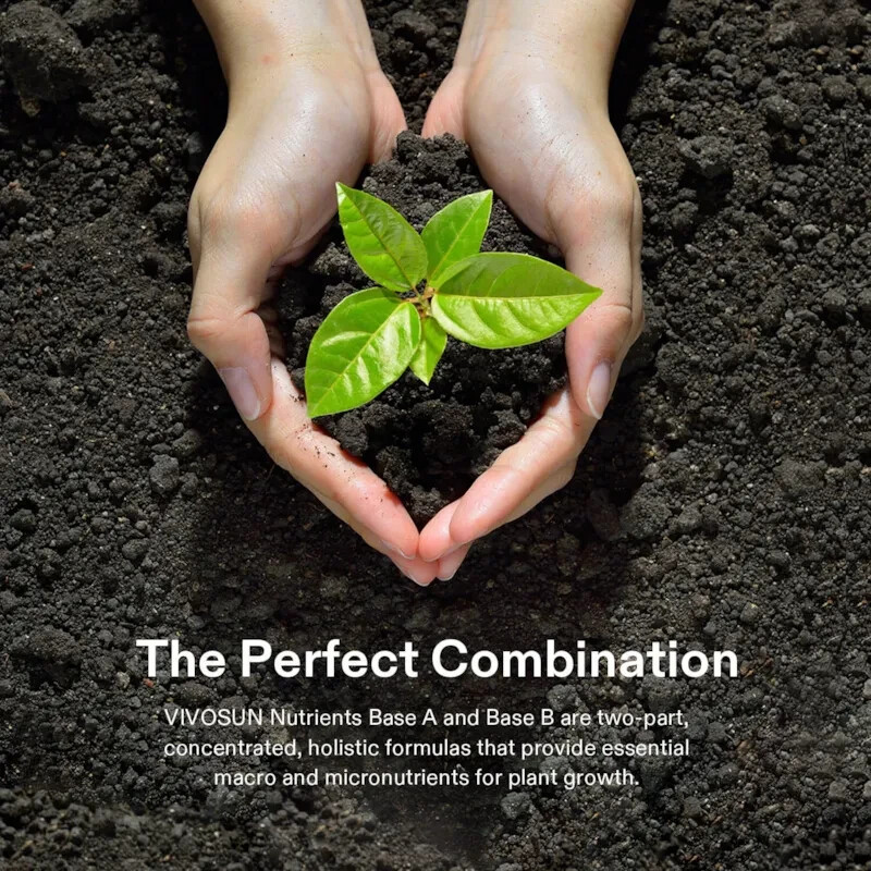 VIVOSUN Nutrients Base A & B Bundle, Liquid Fertilizer Supports Vegetative