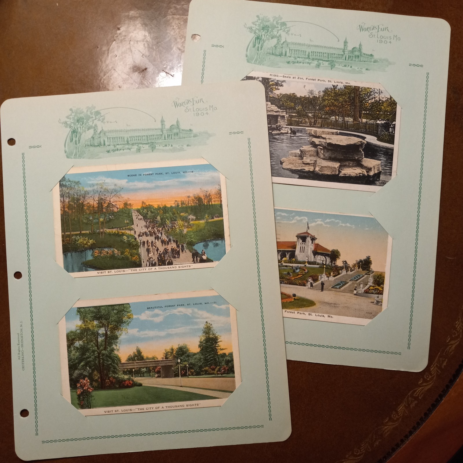 1904 St. Louis World's Fair Postcard Album Sheets / lot of 10 unused