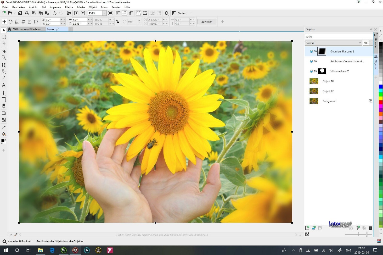 CorelDRAW Graphics Suite 2019 Full Version Windows PKC Permanent License Original Packaging NEW