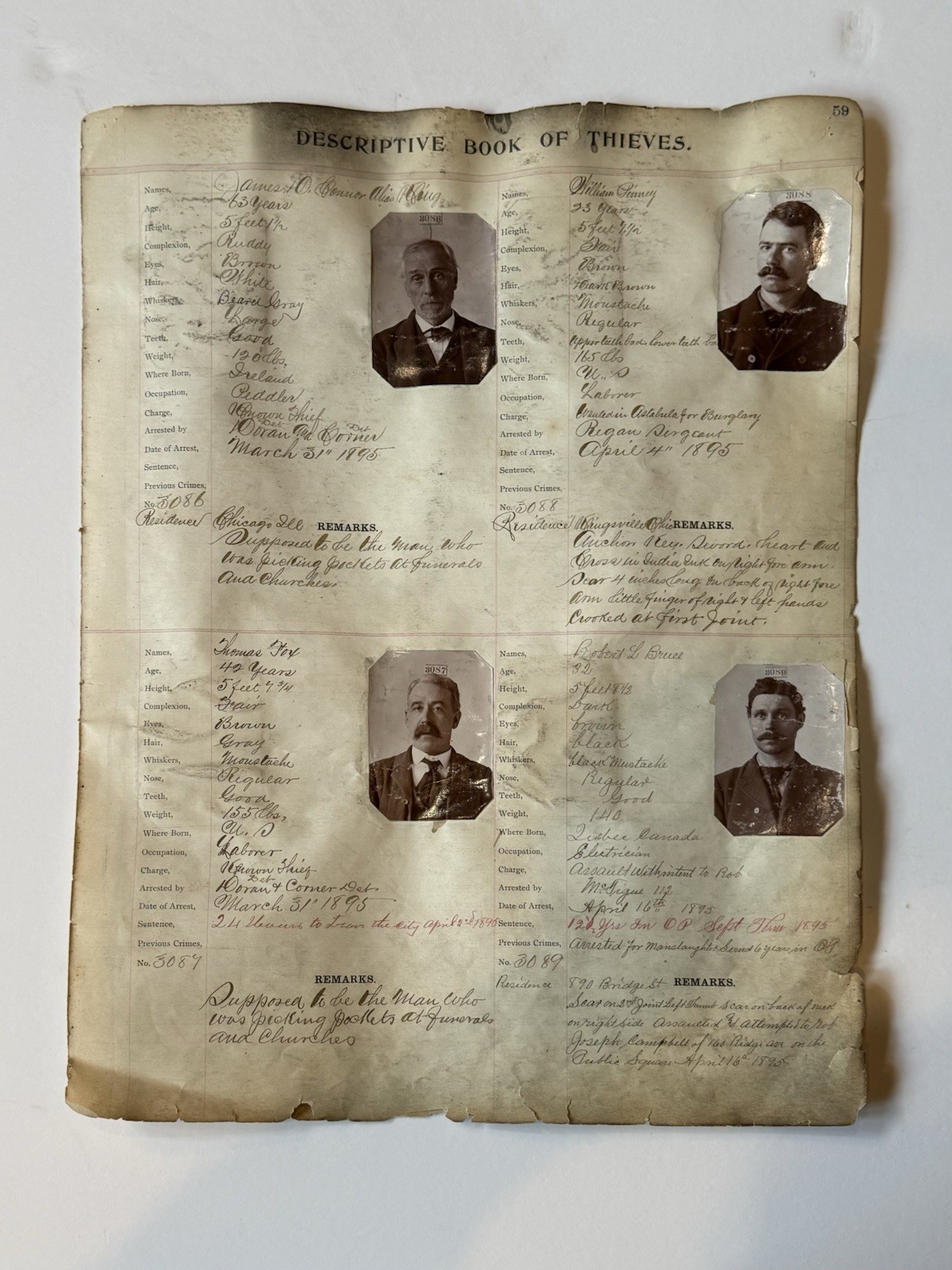 Original 1895 ARREST RECORDS POLICE PHOTO MUG SHOTS THIEVES 19th Century Prison