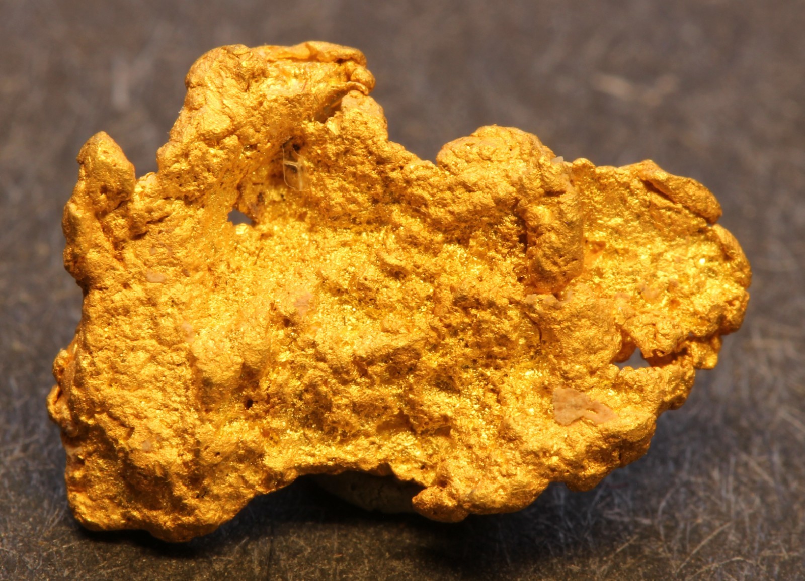 Gold nugget  0.96 Gram  Battle Mtn. Placers  Lander Co. NV