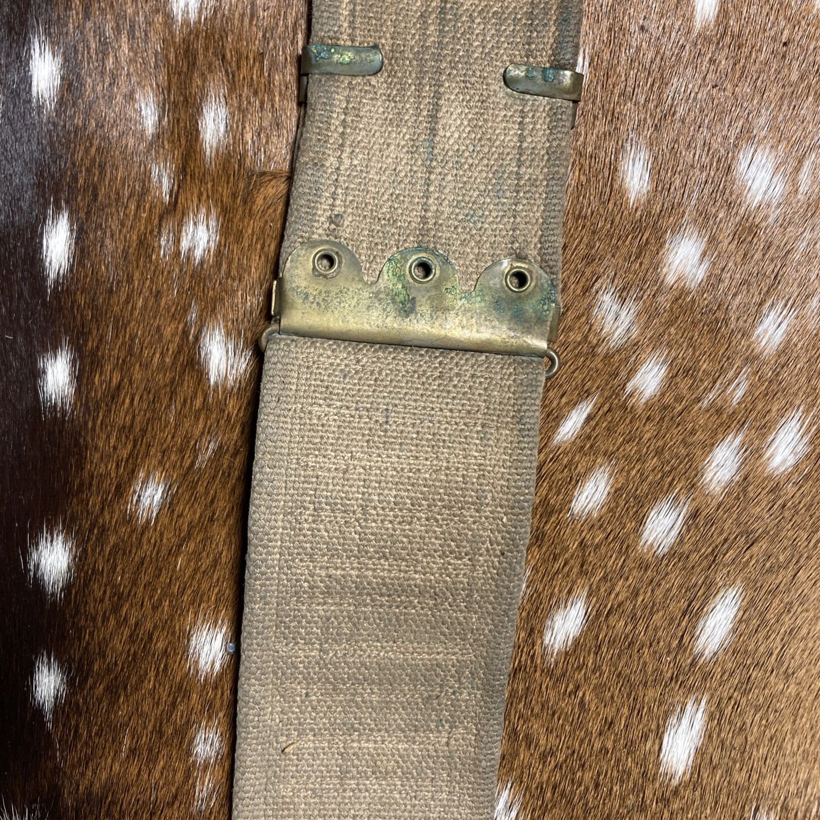 SPANISH AMERICAN WAR U.S. KRAG AMMO CANVAS BELT 45 SLOTS 30-40 Krag ?