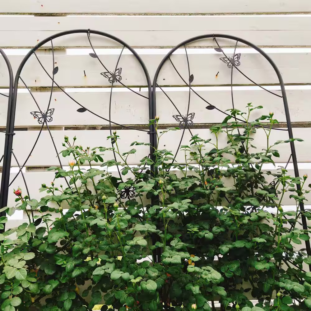 86.7 In. X 19.7 In. Metal Garden Trellis Rustproof Trellis Butterfly Decor for C