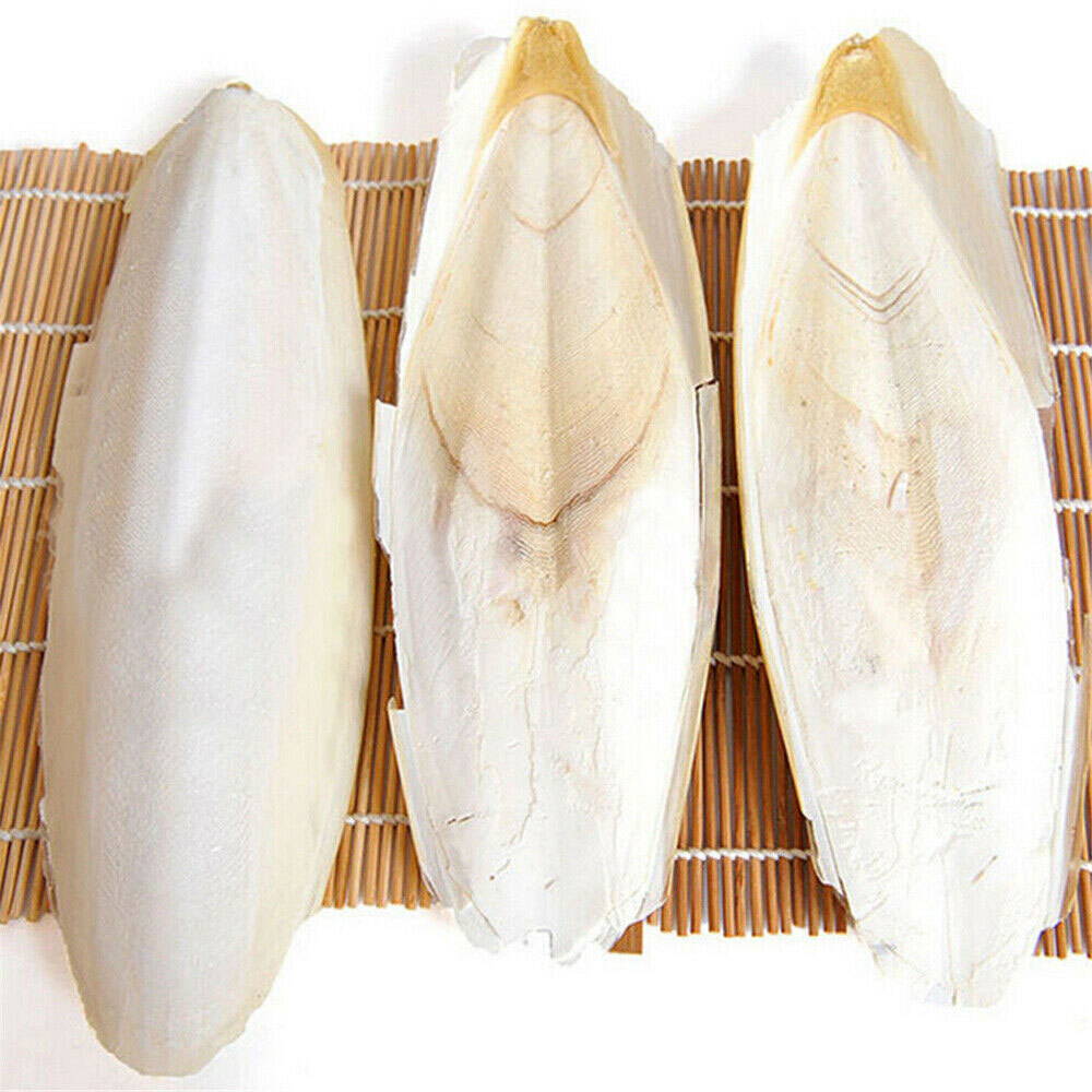 10/20PC Cuttlebone Cuttlefish Bone Sepia Cuttle Fish Pet Bird Food Calcium set^