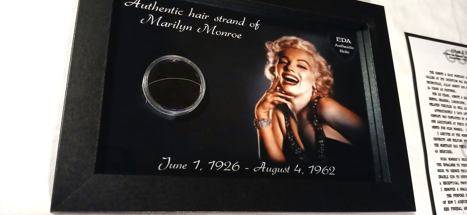 Authentic Marilyn Monroe Hair Strand Lock Relic Collectible With COA Norma Jeane