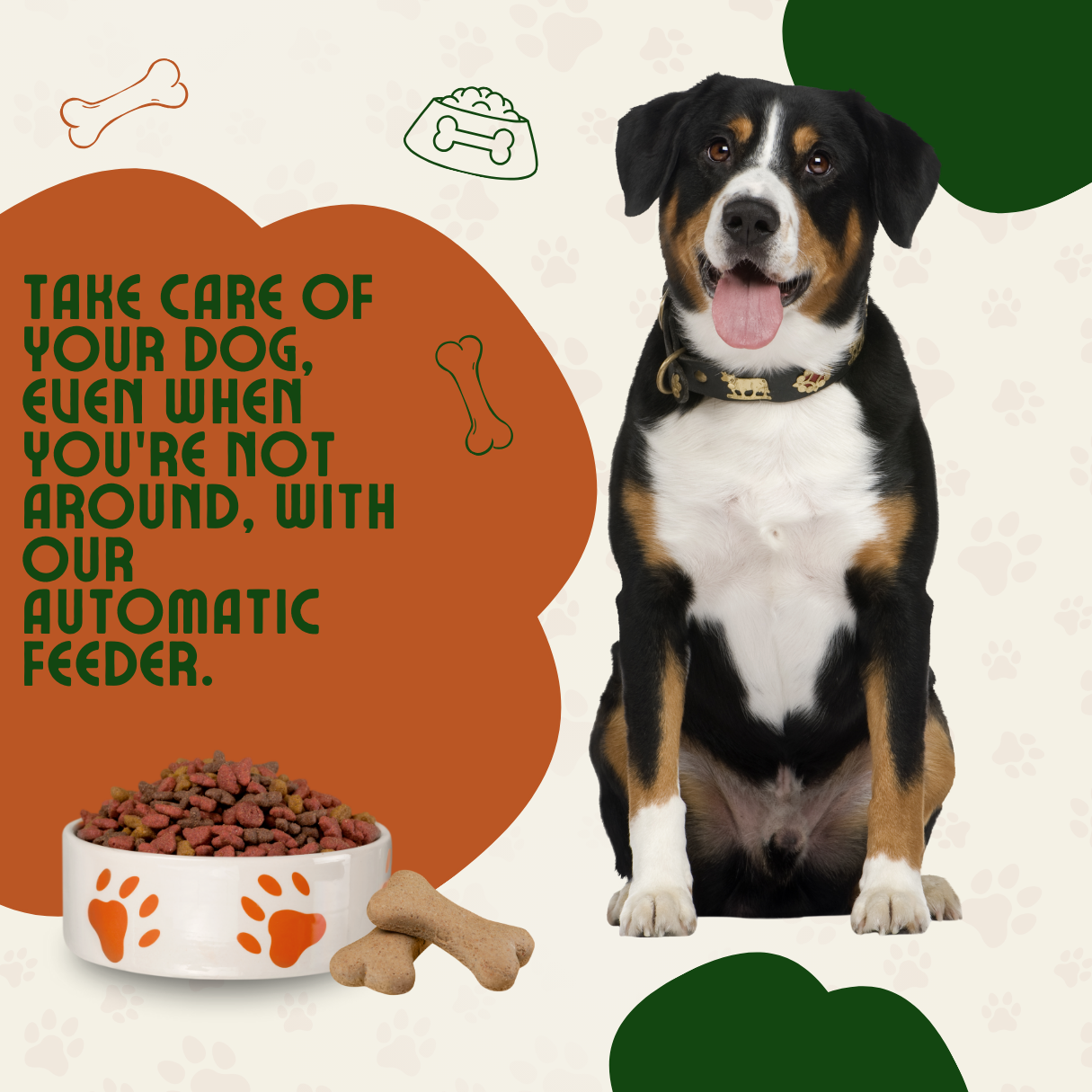 Automatic Dog Feeder Food Dispenser with Timer Care for Your Large and Small Pet