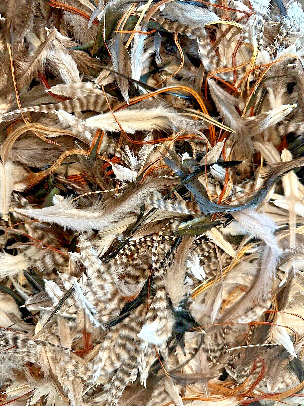 1000pc Natural 3-6" Loose Fluffy Crafting Feathers, Whiting Farms