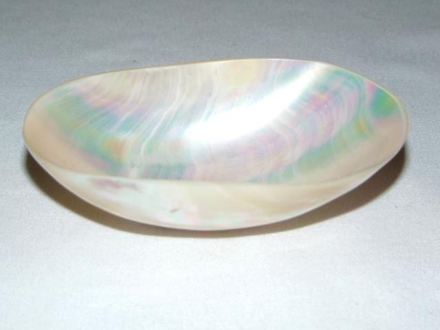 Natural Vintage FRESH WATER CLAM Polished Seashell, From Kanchanaburi, Thailand