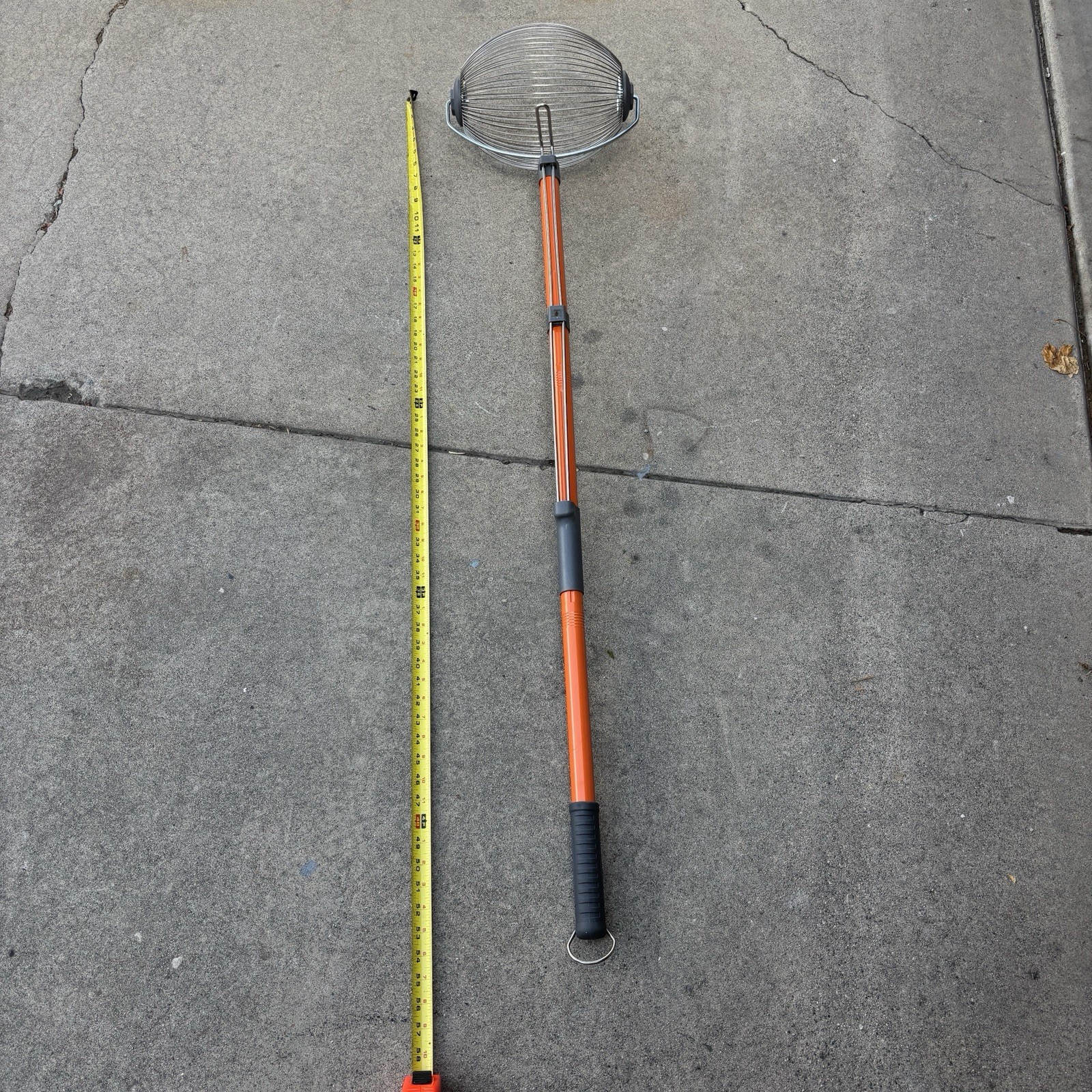 Nut Gatherer Pecan Acorn Golf Ball Harvester Garden Roller Picker