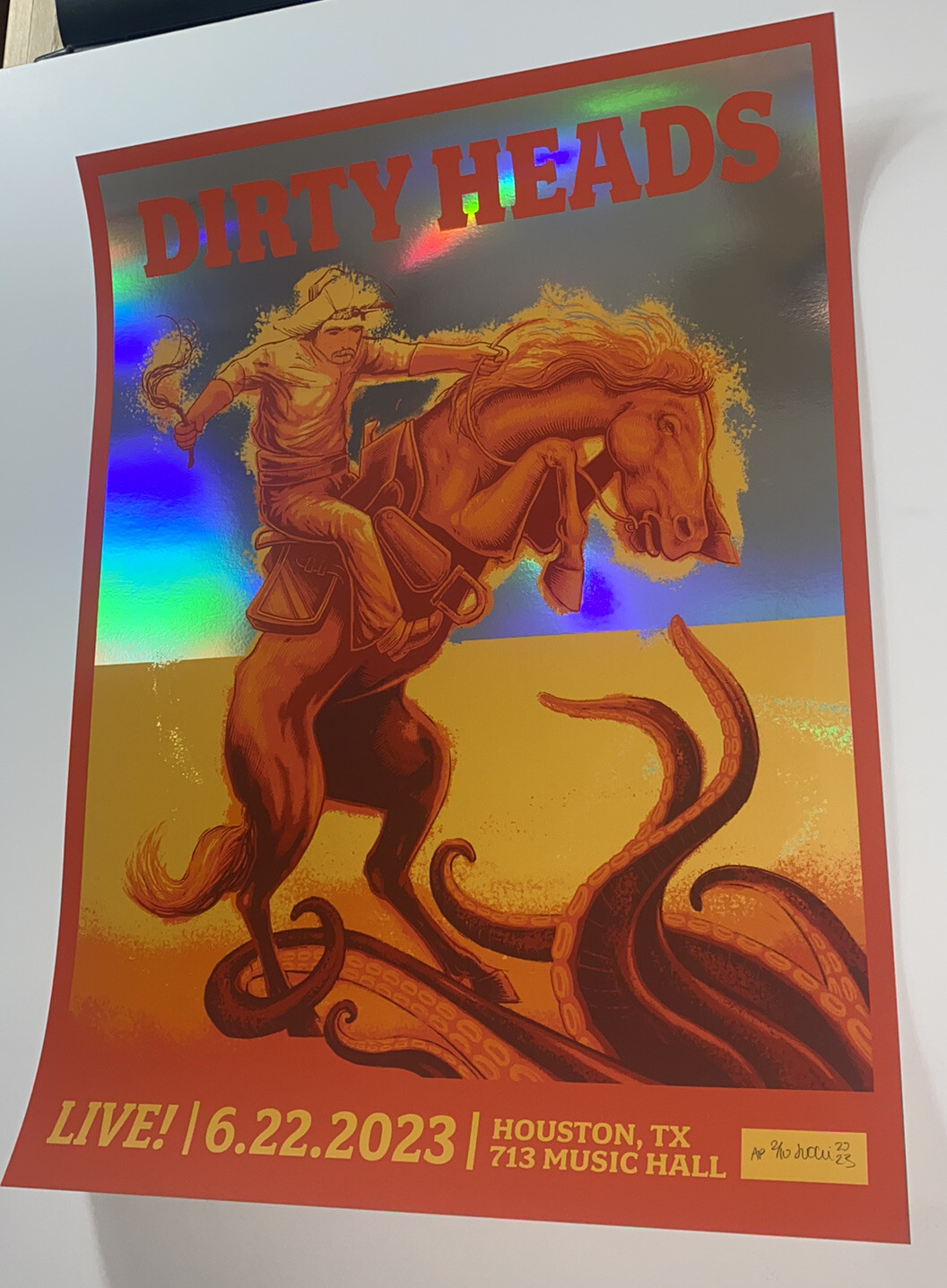 Dirty Heads Poster 713 Music Hall Houston TX 23 Silkscreen FOIL Low Run S/N X/10