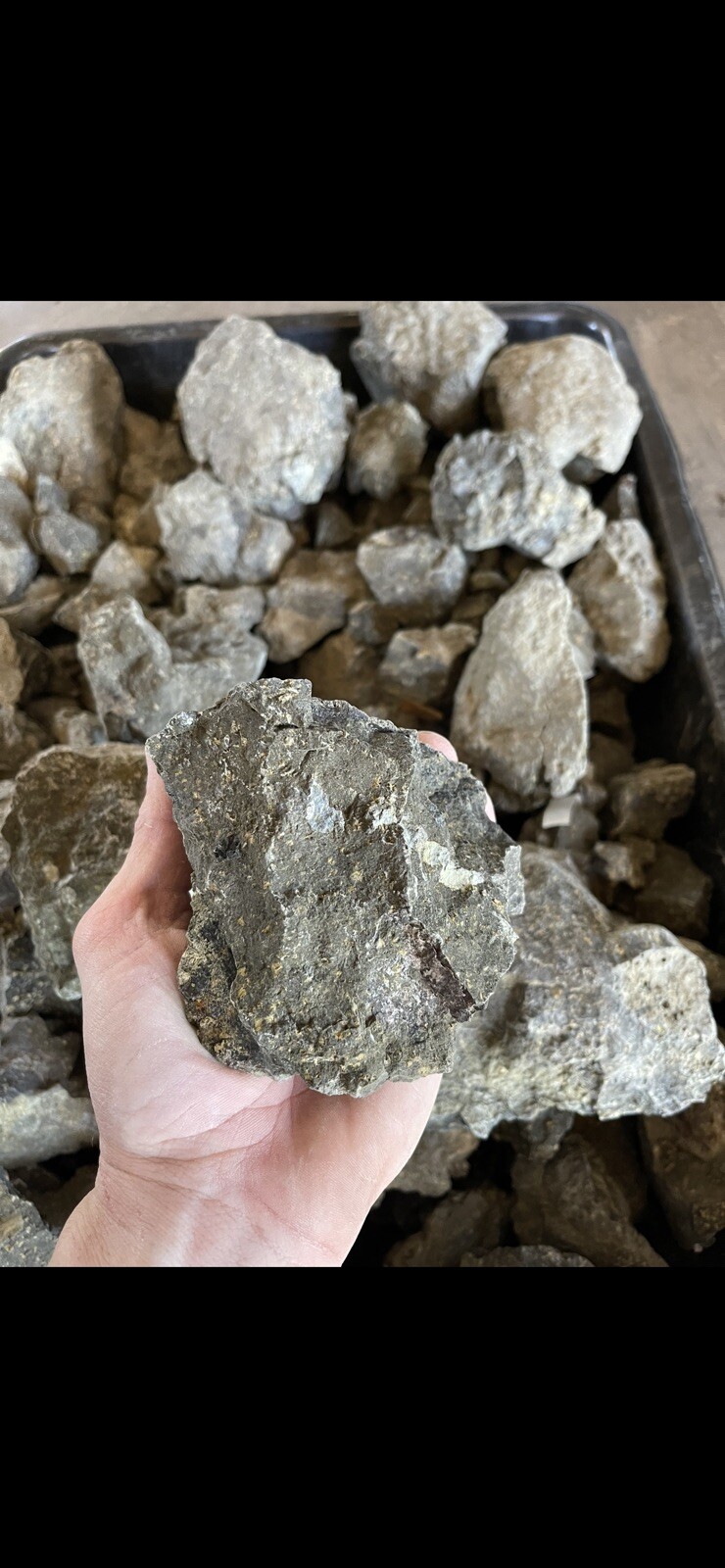 3 lbs Lamproite Diamond Ore Arkansas Diamonds Crater of Diamonds.